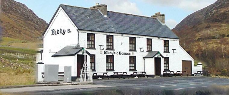 Leghowney House Donegal Town المظهر الخارجي الصورة